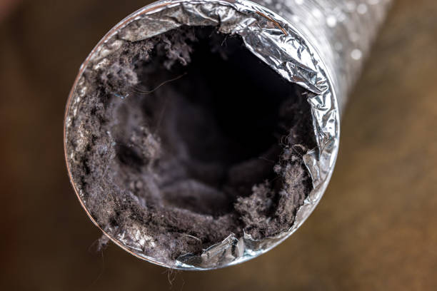 Best Air Duct Mold Removal  in West Lealman, FL