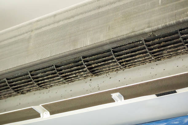 Best Ventilation Cleaning Services  in West Lealman, FL